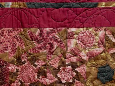 Golden Koi (closeup 3)